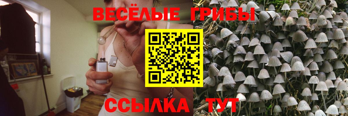 Псилоцибиновые грибы мухоморы Ковров